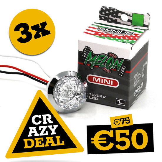 CRAZY DEAL - OMNIUS - MINI WASSERMELONE INNENLEUCHTE - GR&Uuml;N